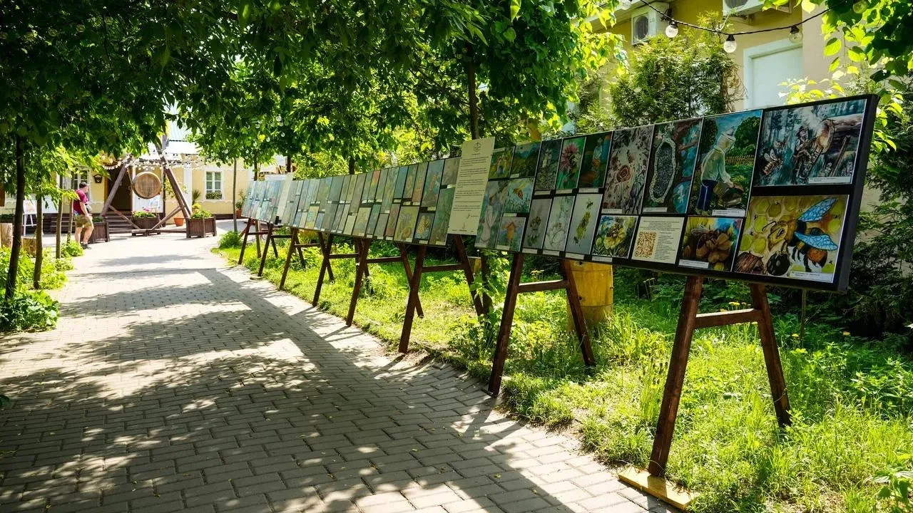 Картинка