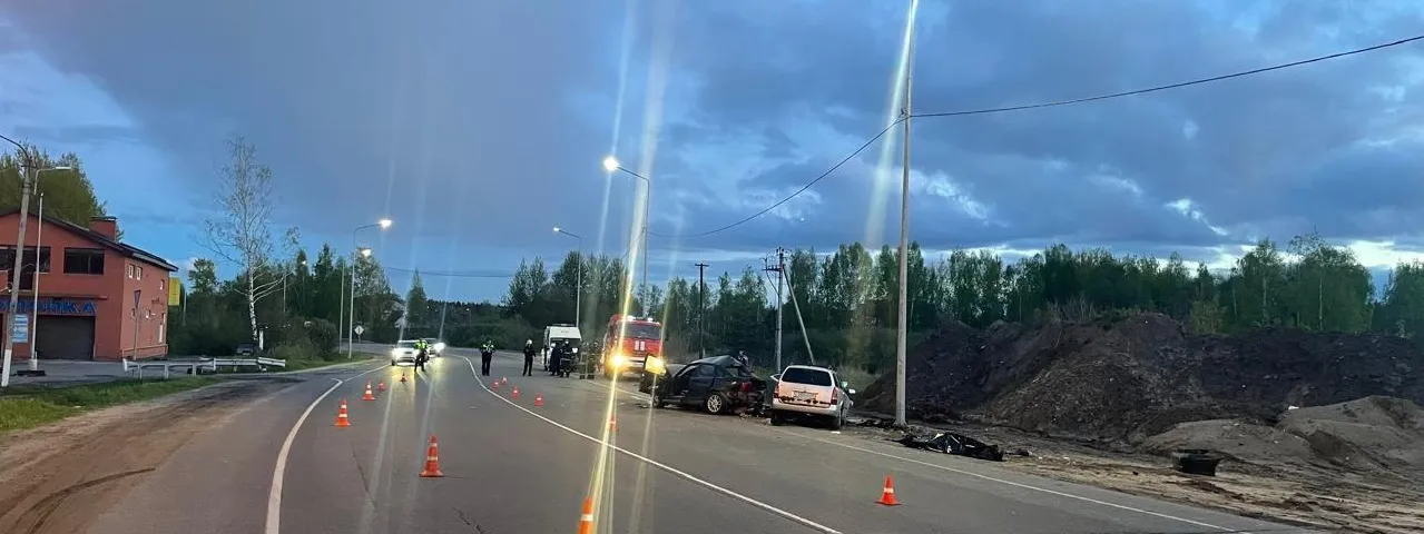 Фото: ГУ МВД РФ по Московской области