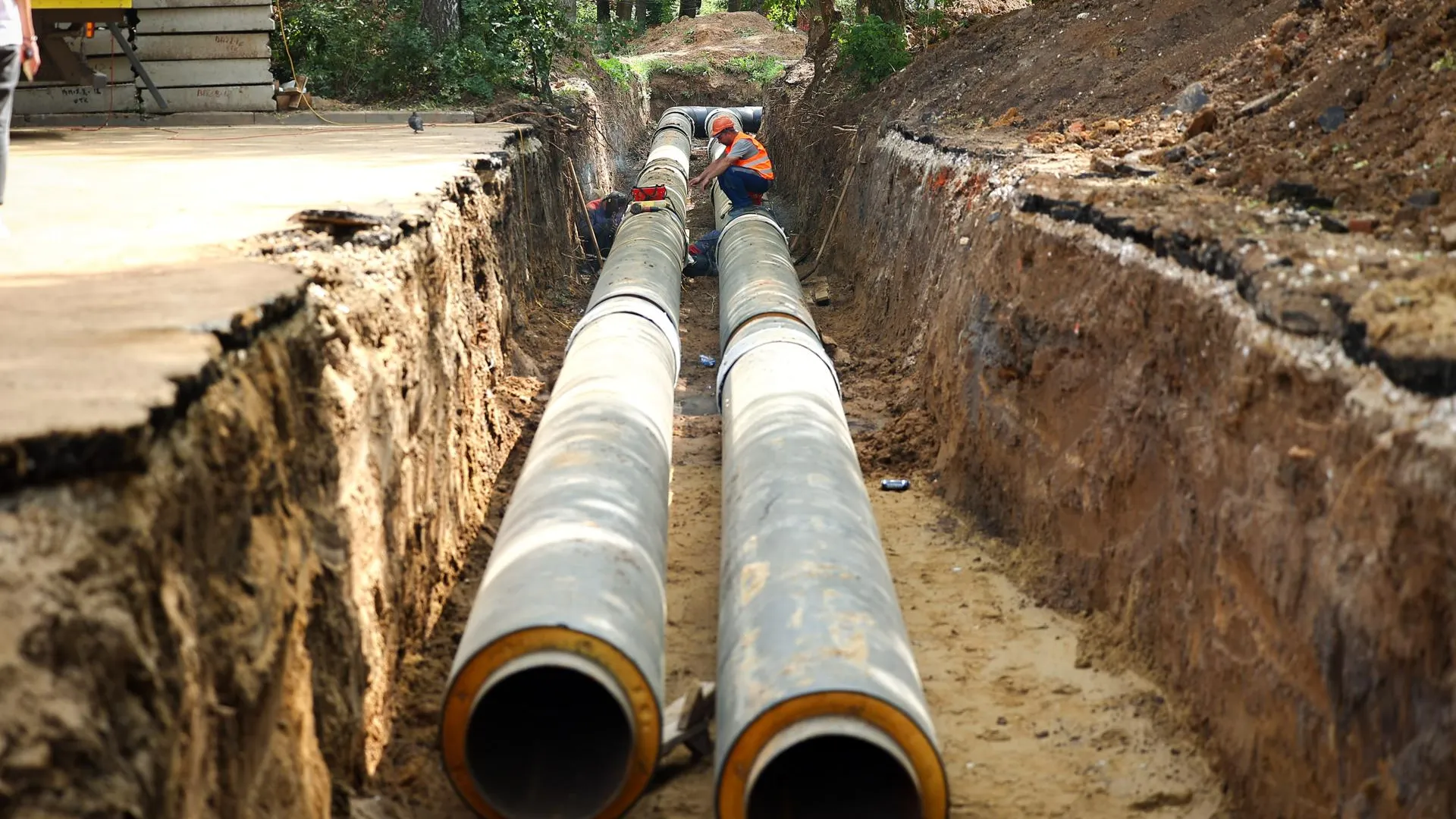 Фото: медиасток.рф