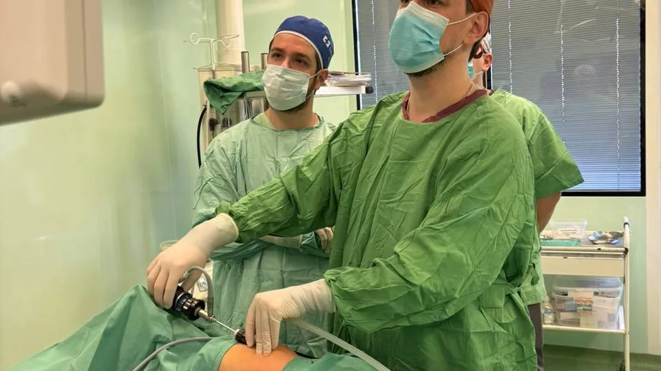 Фото: МОЦОМД