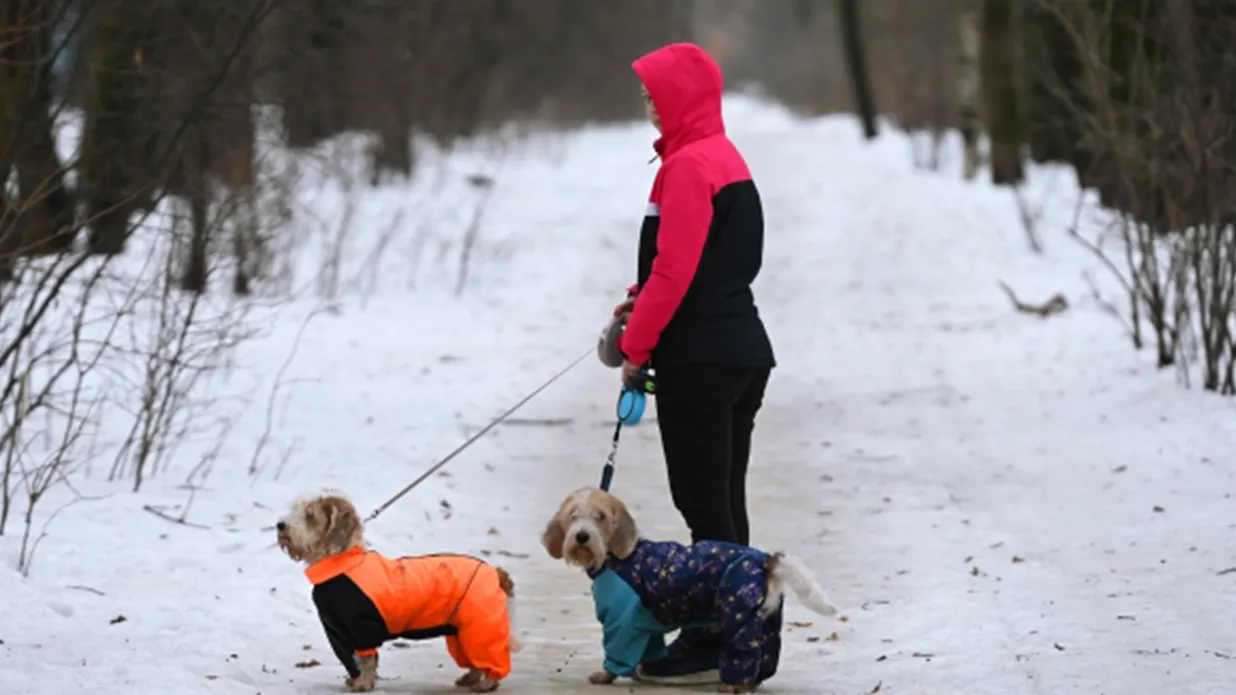 Фото: РИА Новости/Максим Блинов