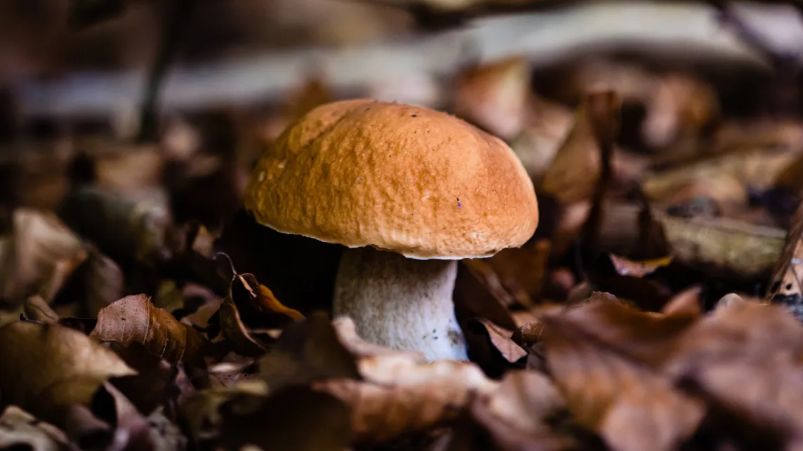 Фото: freepik.com