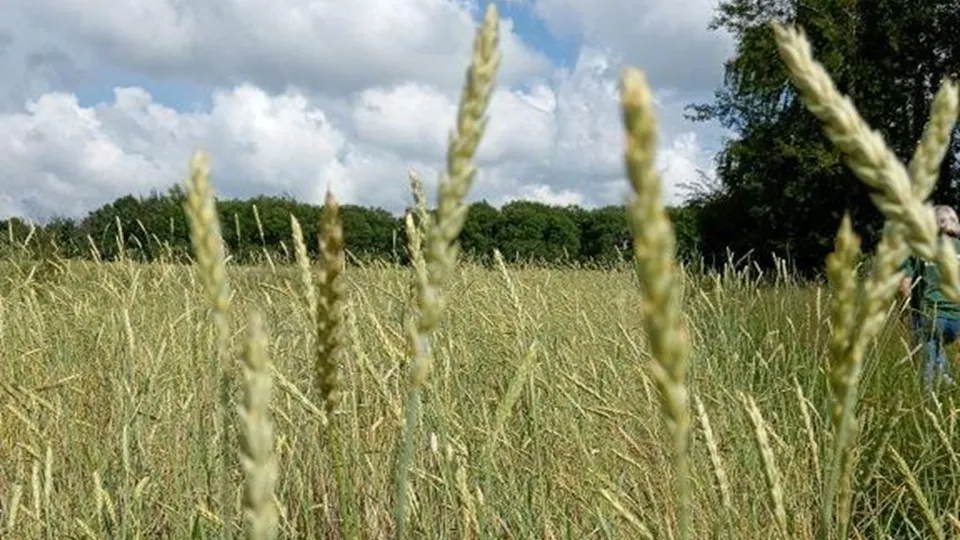 Фото: пресс-служба филиала Россельхозцентра