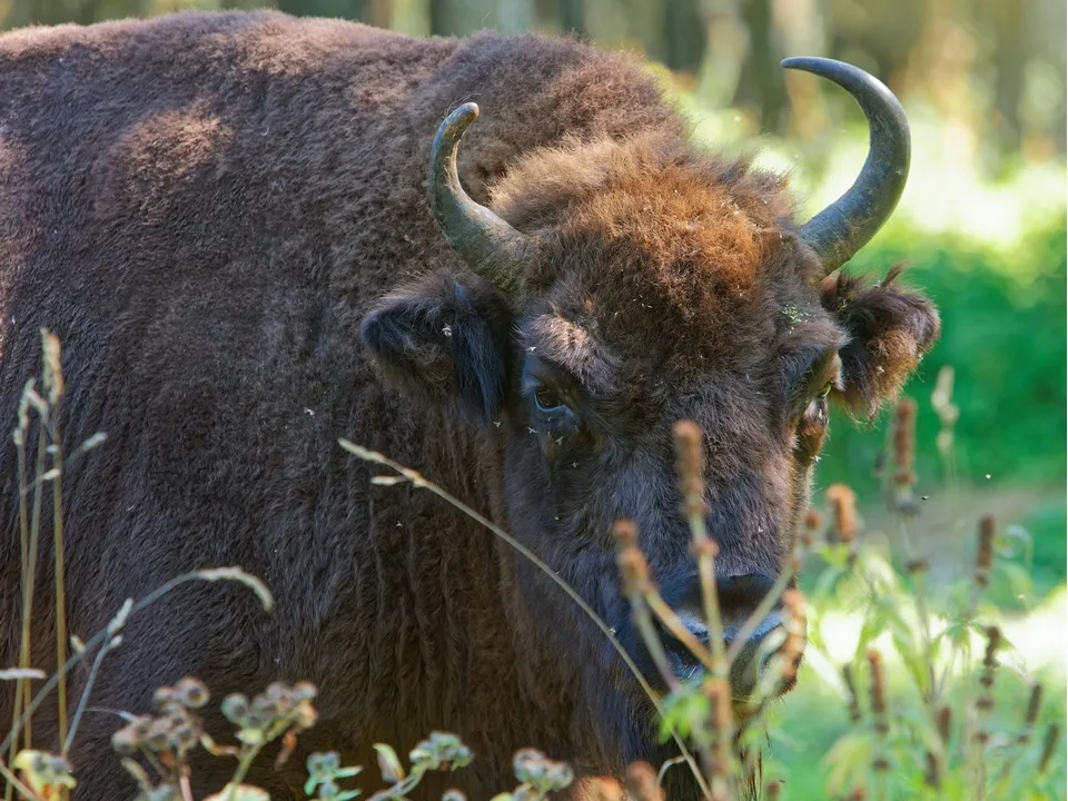 Фото: медиасток.рф
