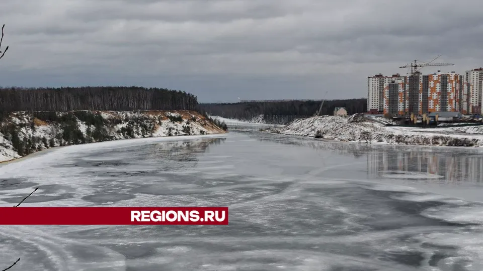 Фото: Александра Загороднова