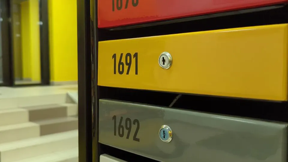 Фото: REGIONS/Артем Мишуков