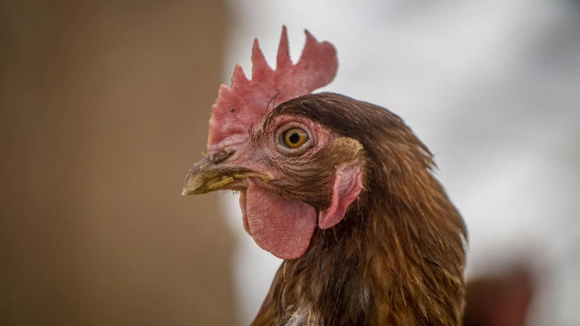 Preston Keres/Usda/Keystone Press Agency