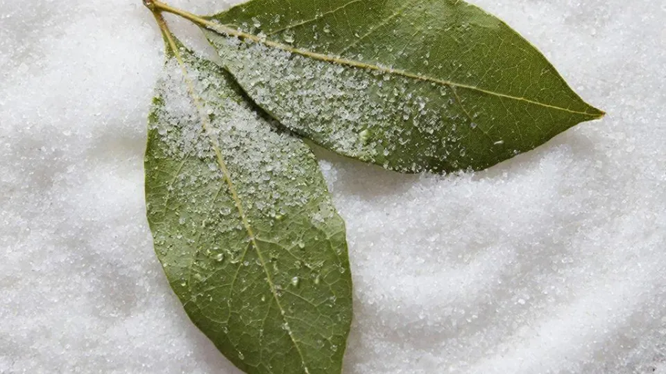 Фото: REGIONS/Сгенерировано нейросетью