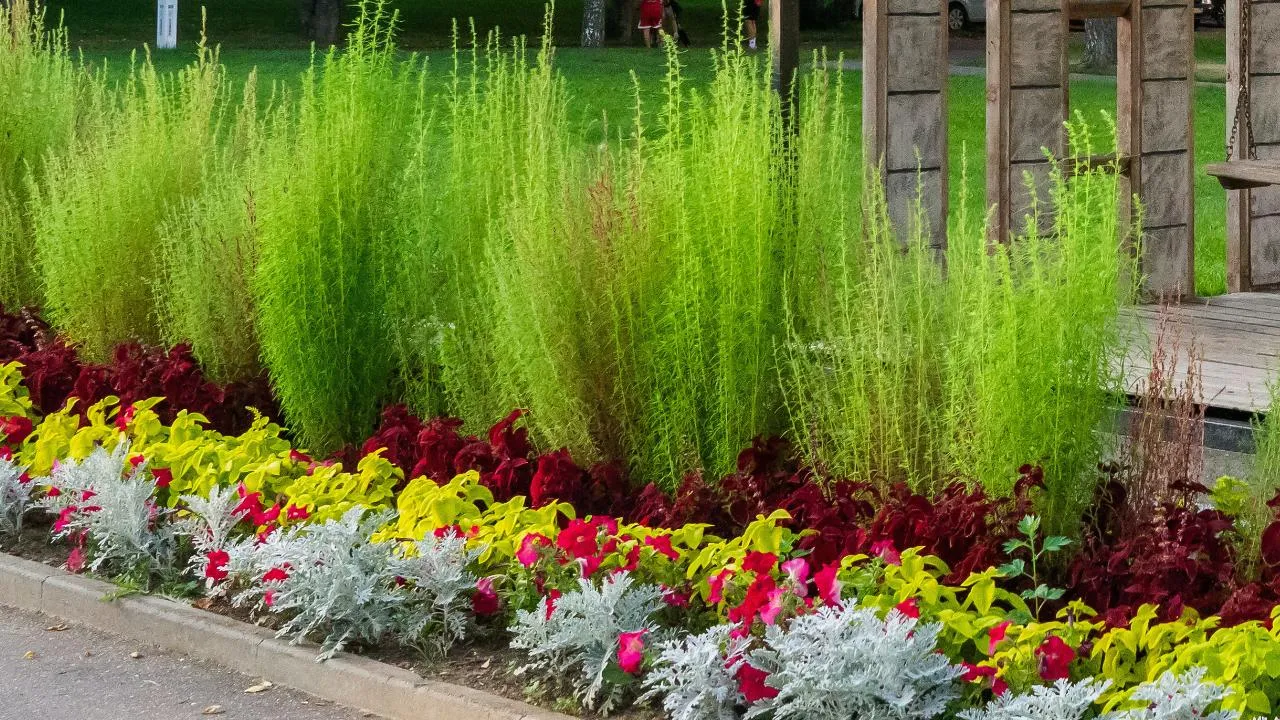 медиасток.рф