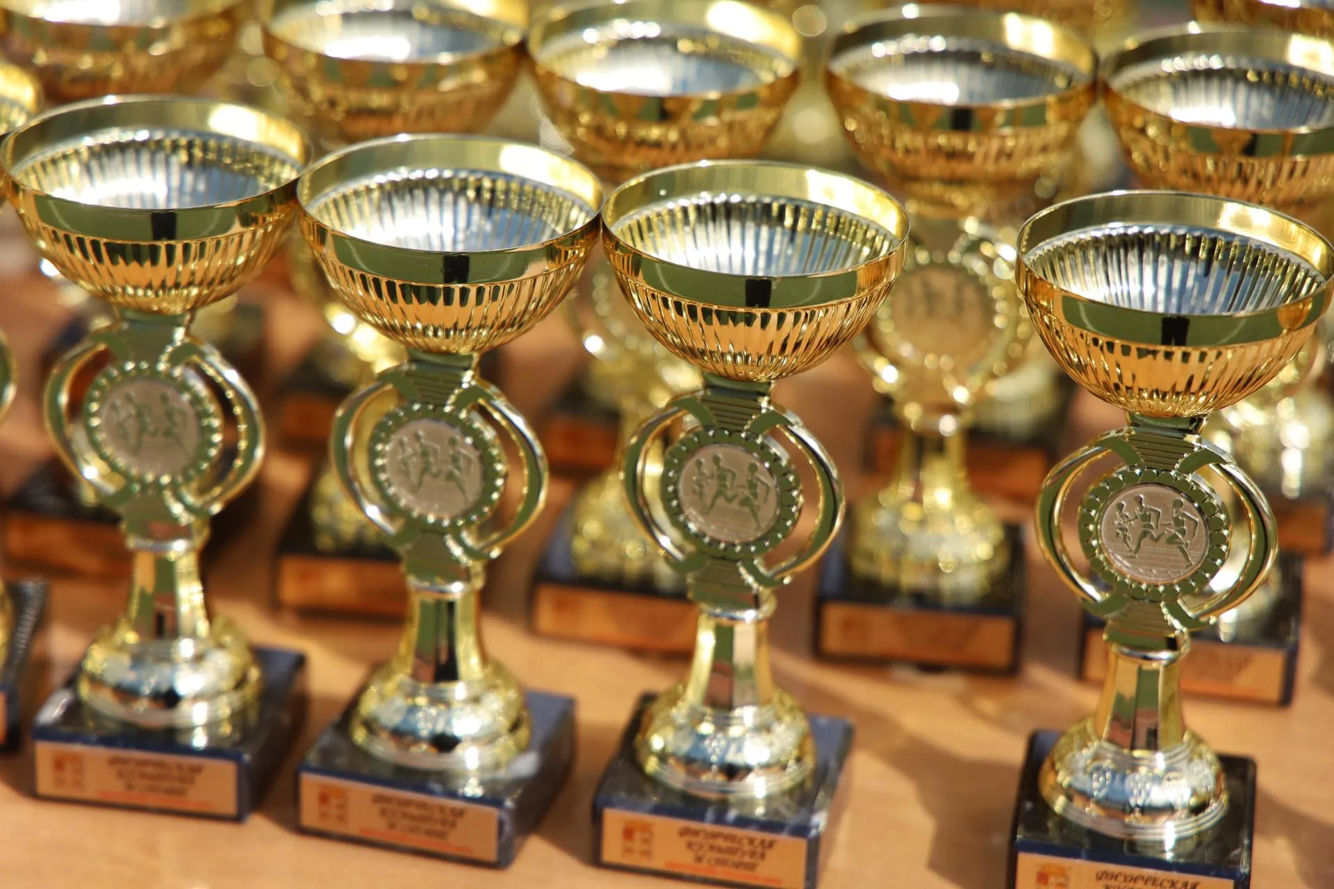 Фото Ольга Пятикрестовская.