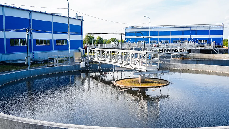 Фото: пресс-служба губернатора и правительства Московской области