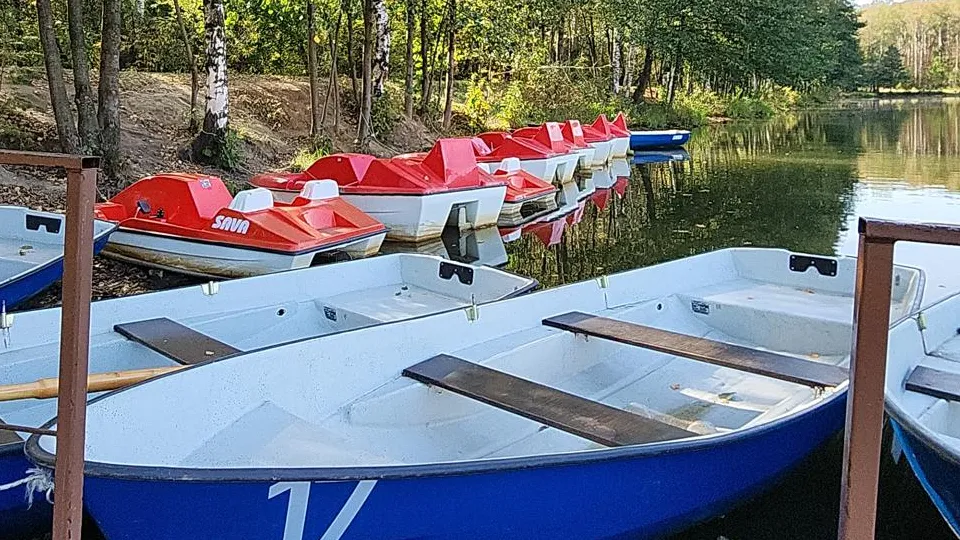 Фото: REGIONS/Нина Басистая