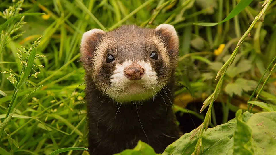 Фото: pxhere.com