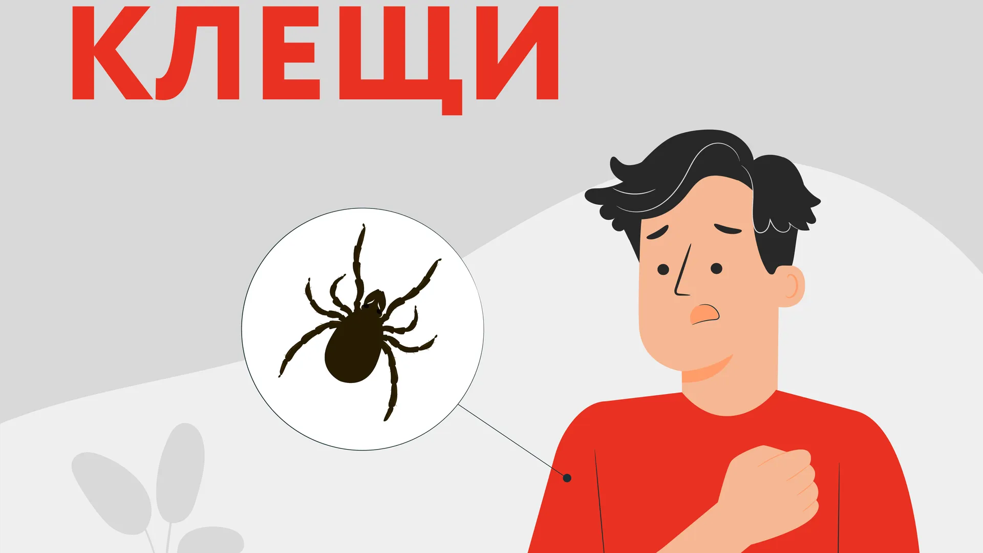 Любая «химия»: секрет защиты от клещей от эксперта МГУ