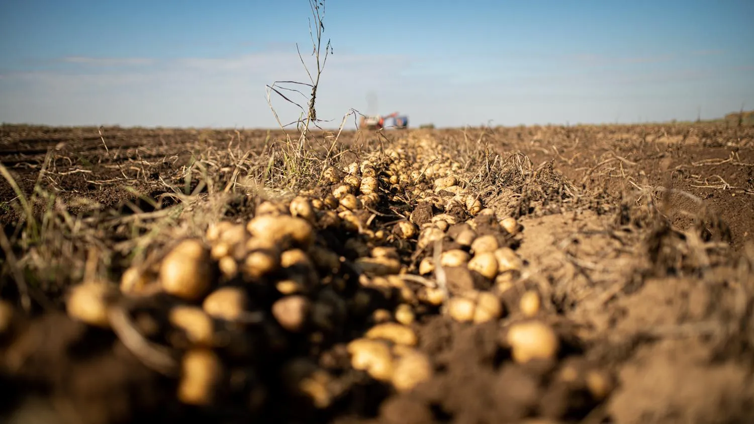 пресс-служба губернатора и правительства Московской области