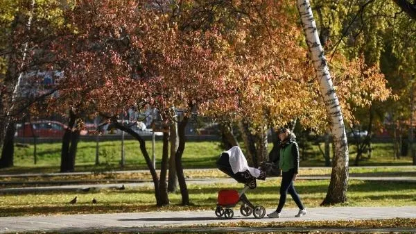 Два новых сквера появятся в Реутове к сентябрю