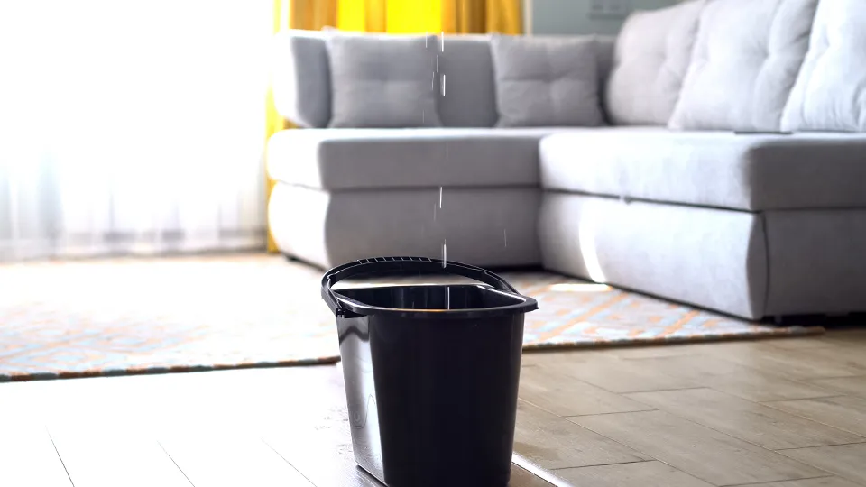 Фото: istockphoto.com