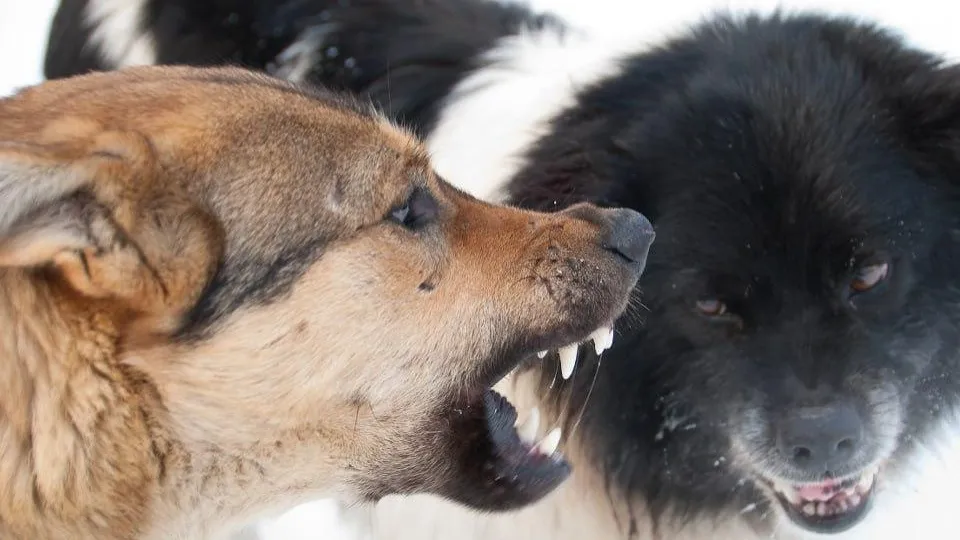 istockphoto.com/toxawww