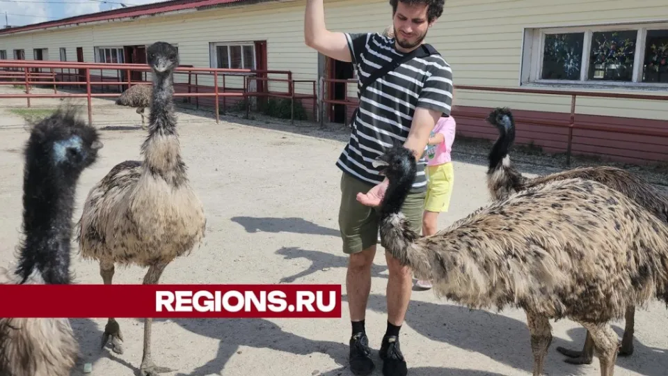 Фото: REGIONS/Александр Степушкин