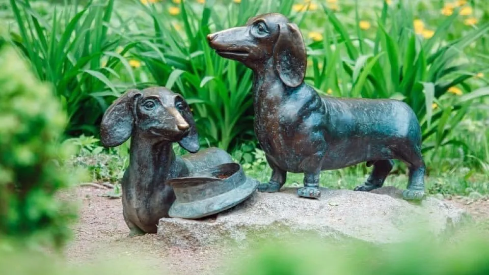 Фото: Администрация г.о. Чехов