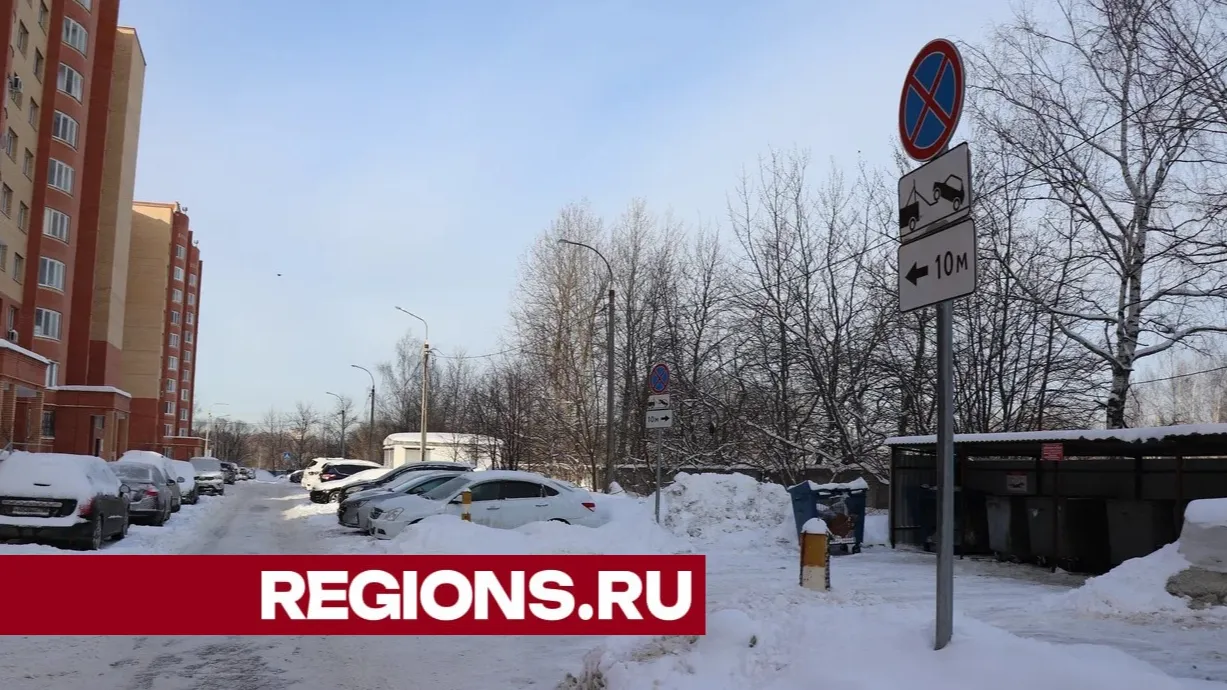 Фото: Василий Тремасов