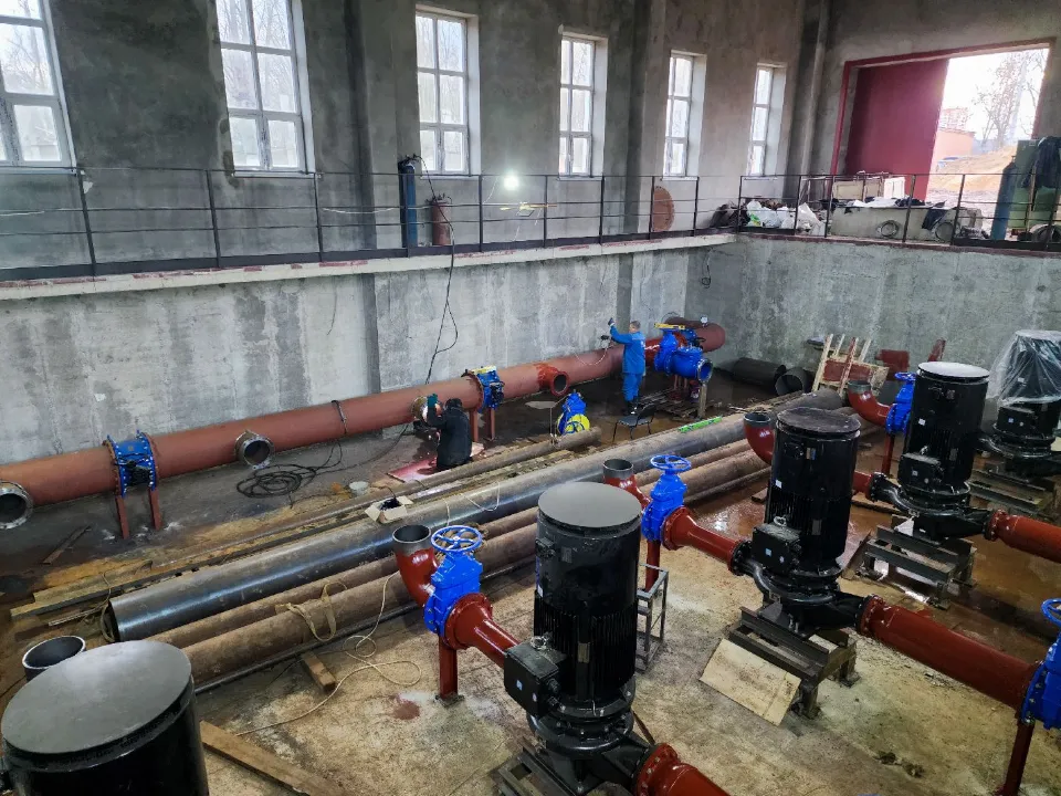 Фото: МедиаБанк Подмосковья/Мария Андрюхина