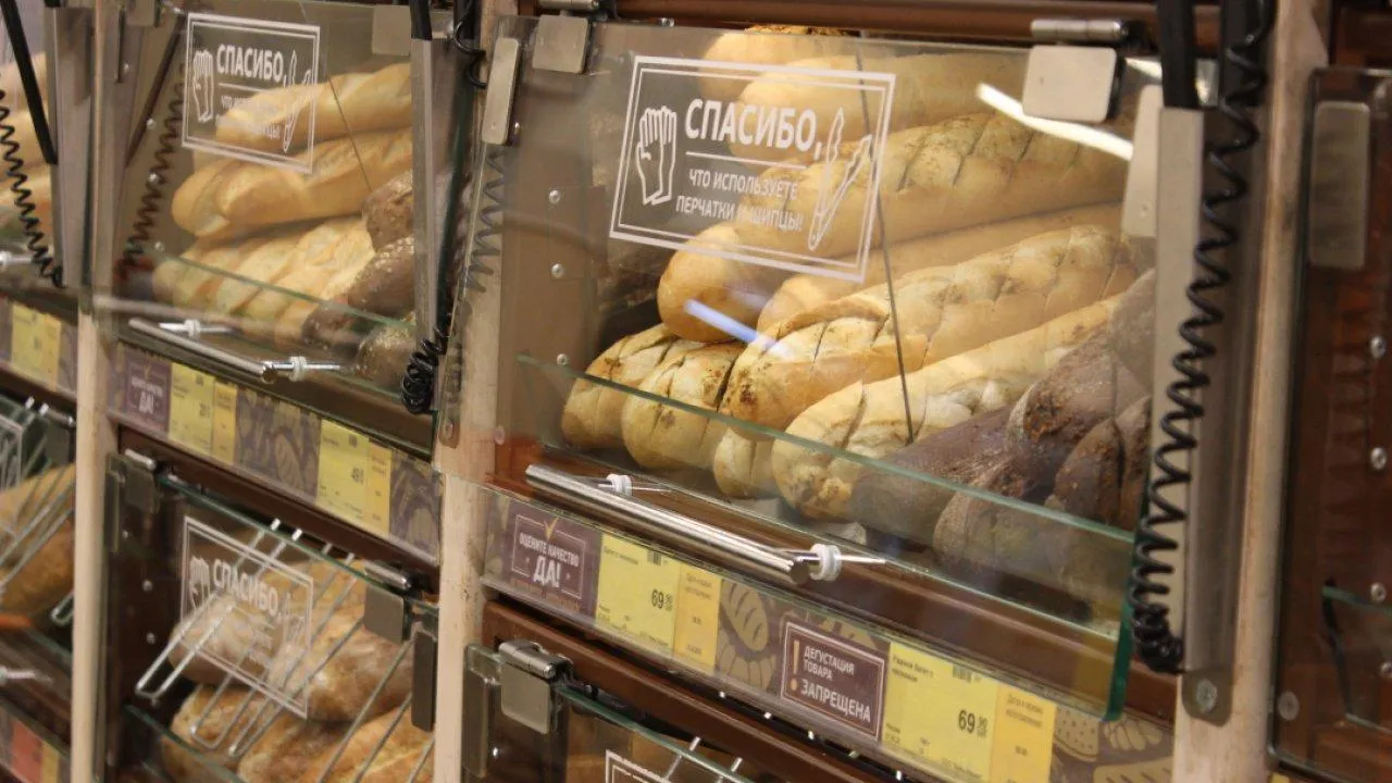 REGIONS/Анастасия Широкая