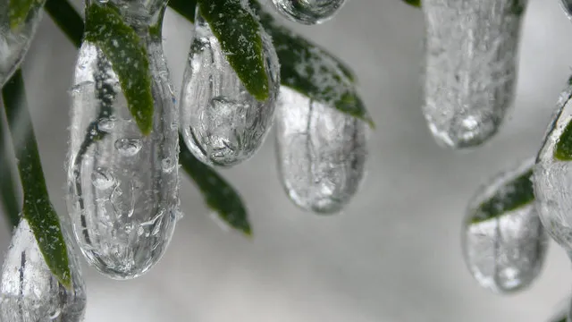 фото:.freepik.com