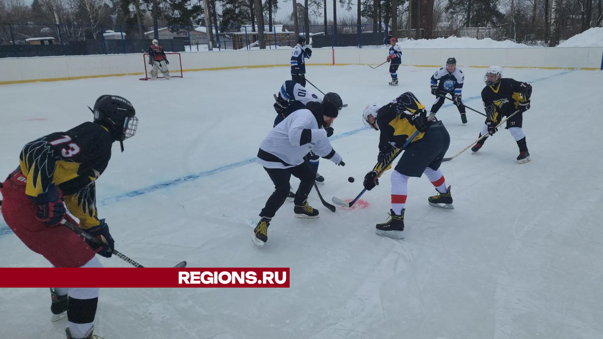 Фото: Михаил Мартыненко