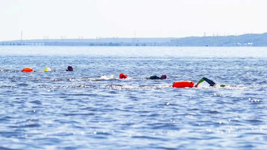 Заплыв через р.Волга CHEBSWIM