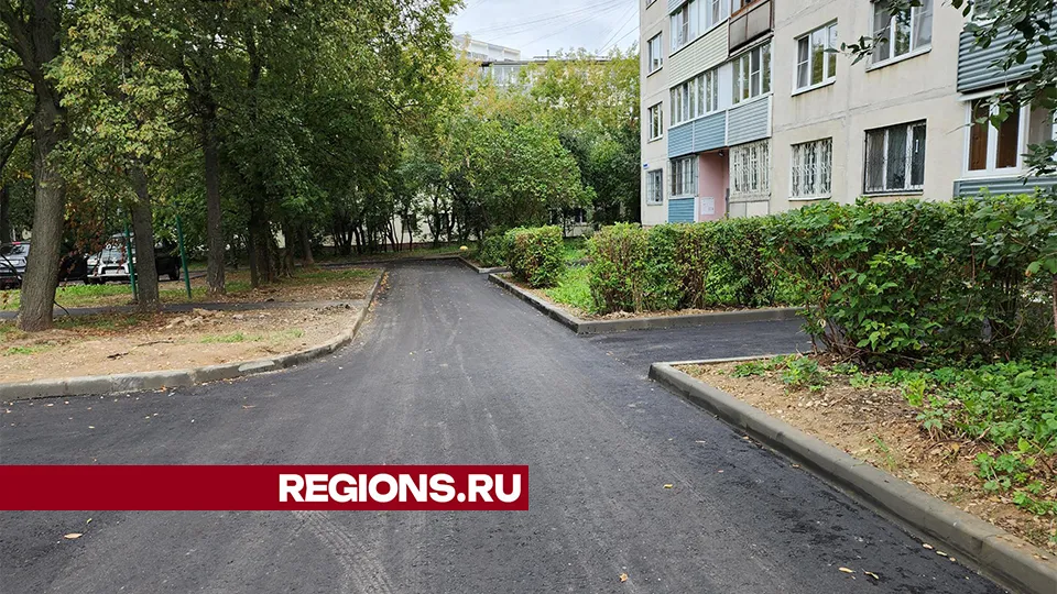 Фото: Александр Степушкин