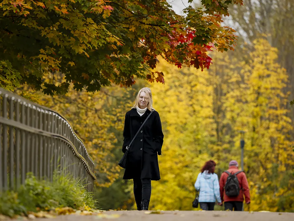 Фото: ТАСС/EPA/YURI KOCHETKOV