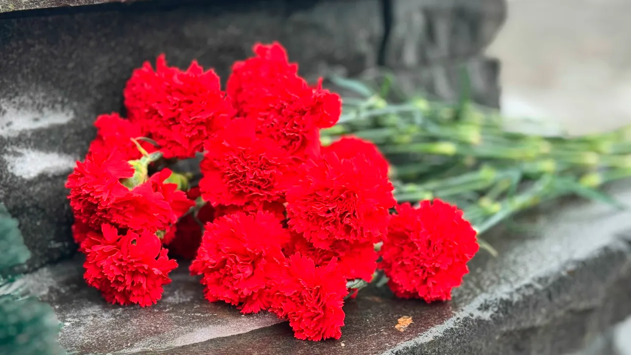 vk.com/Муниципальный округ Зарайск