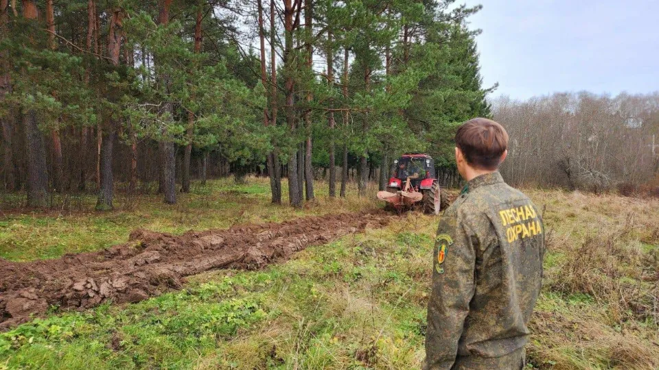 Фото: Комитет лесного хозяйства Московской области