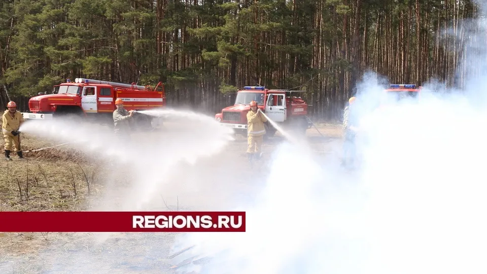 Фото: REGIONS/Александр Дрожжин