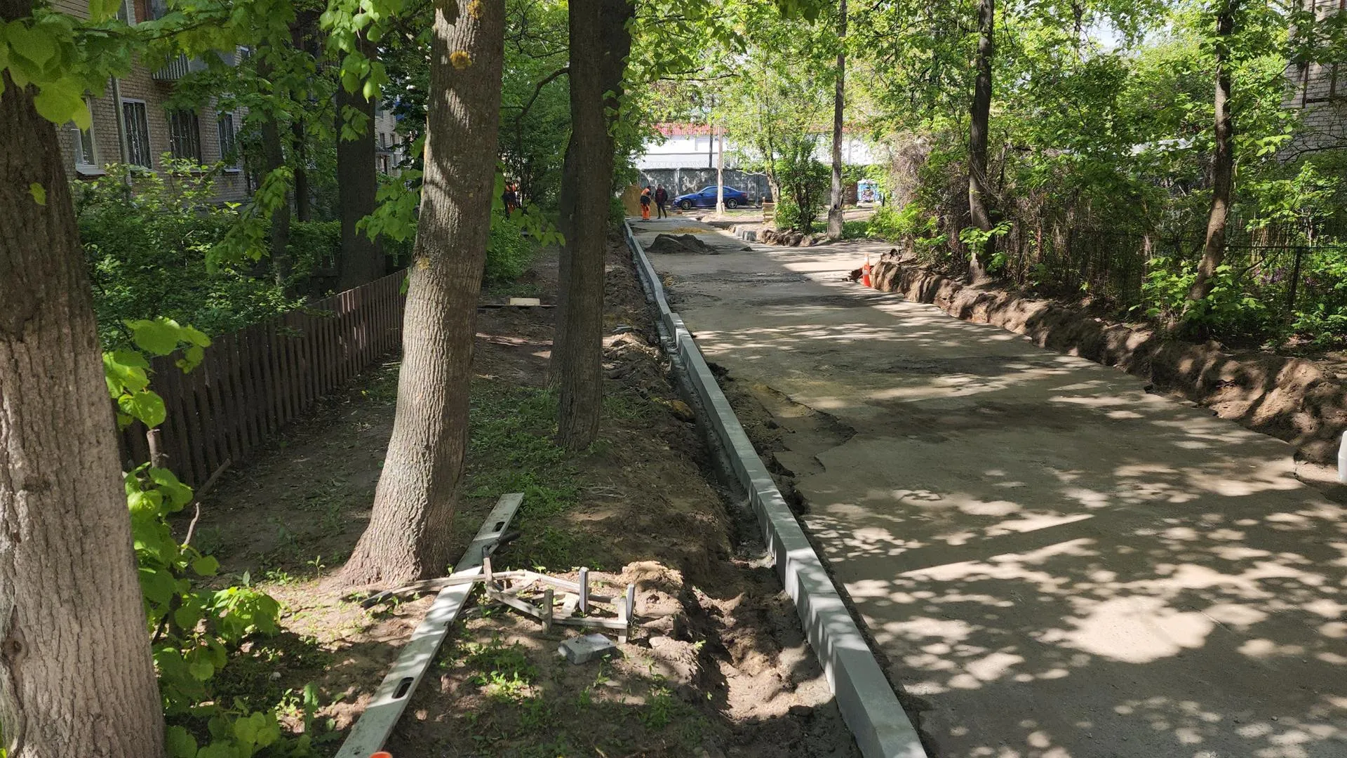 Фото: Дмитрий Павлов