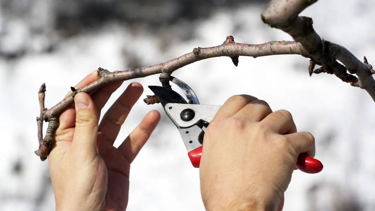 istockphoto.com/MireXa