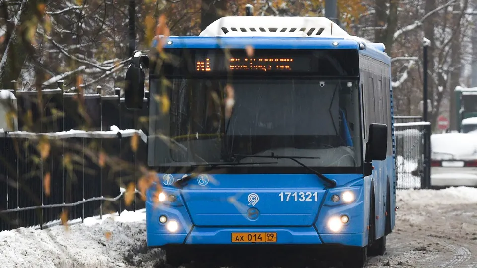 Фото: медиасток.рф