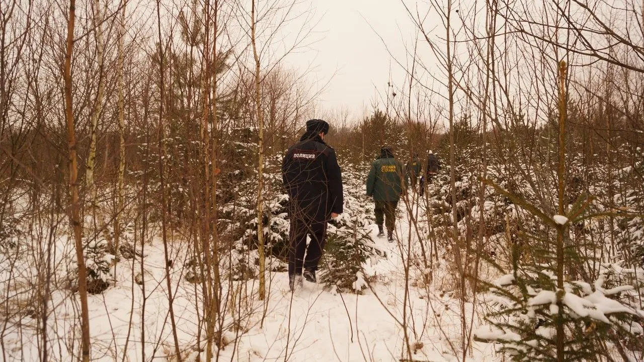 Комитет лесного хозяйства МО