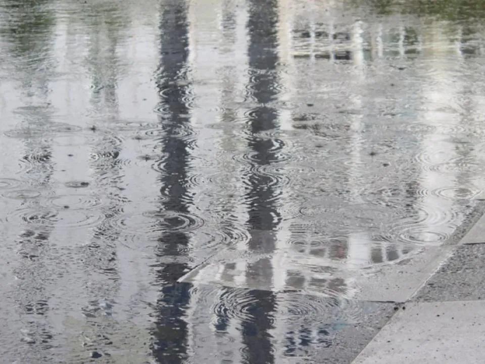 Неожиданное потепление: прогноз погоды в Москве и Подмосковье на неделю с 25 по 28 ноября