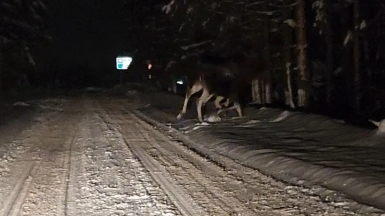 vk.com/Подслушано Павловский Посад