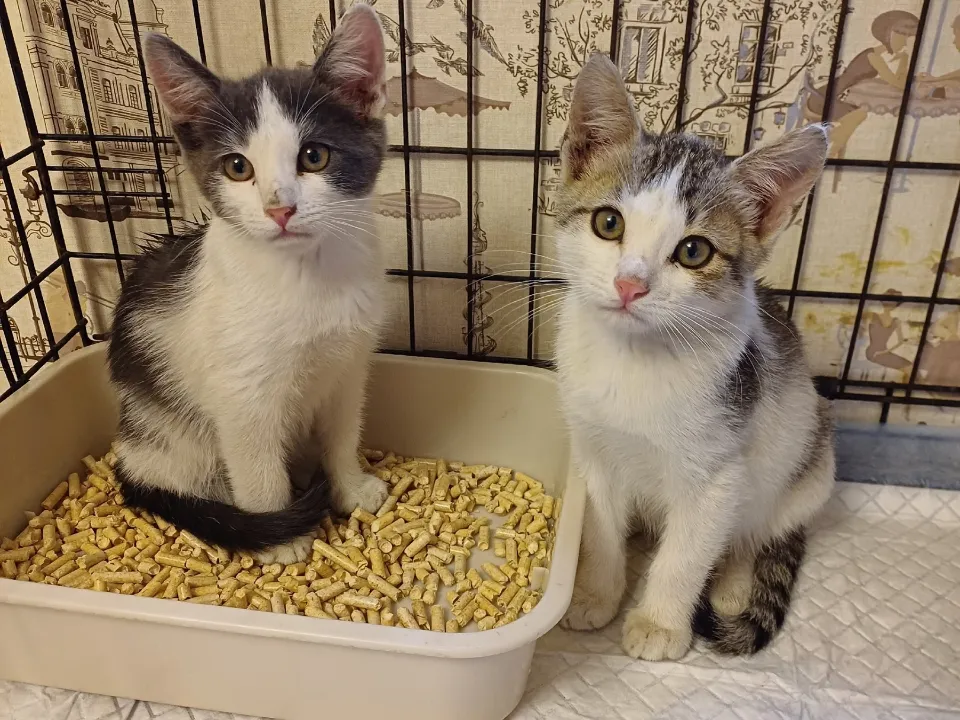 Фото: из личного архива Ольги Петелиной