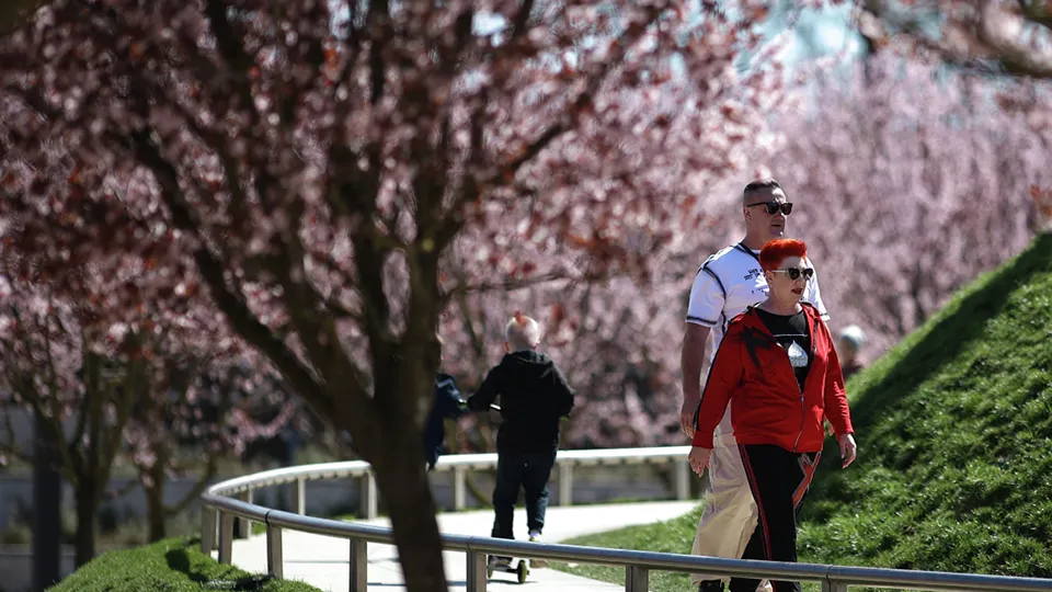 Фото: РИА Новости/Виталий Тимкив