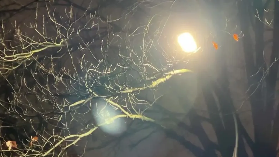 Фото: МедиаБанк Подмосковья/Ксения Казакова