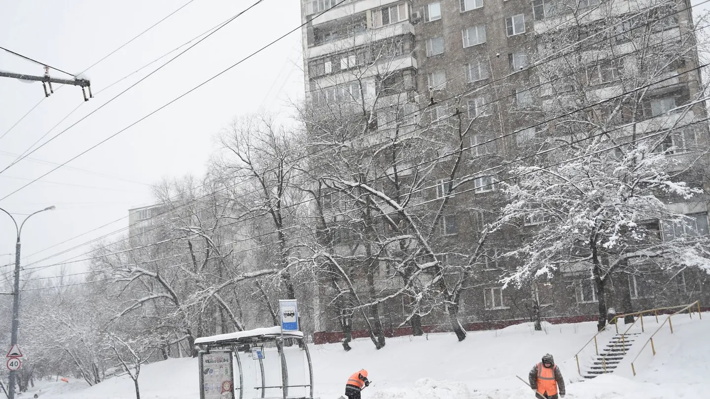 Фото: медиасток.рф