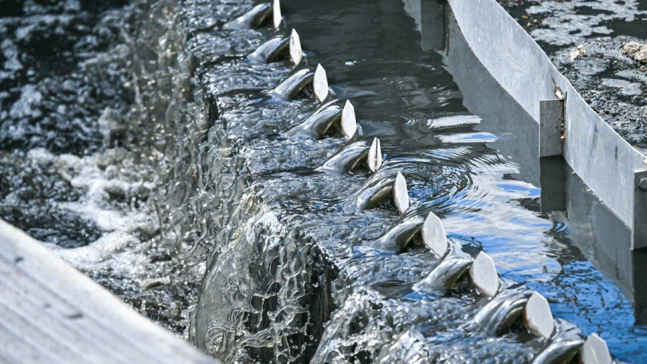 пресс-служба губернатора и правительства Московской области