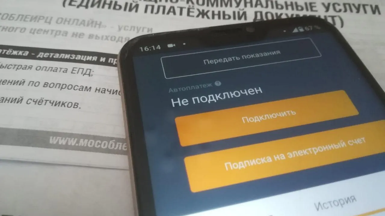 Фото: Татьяна Синельникова