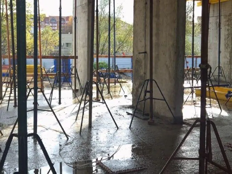 Фото: пресс-служба администрации г.о. Дубна