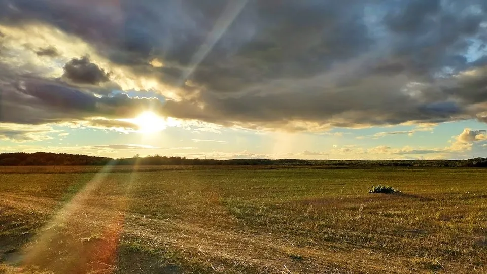 Фото: REGIONS/Алексей Селиверстов