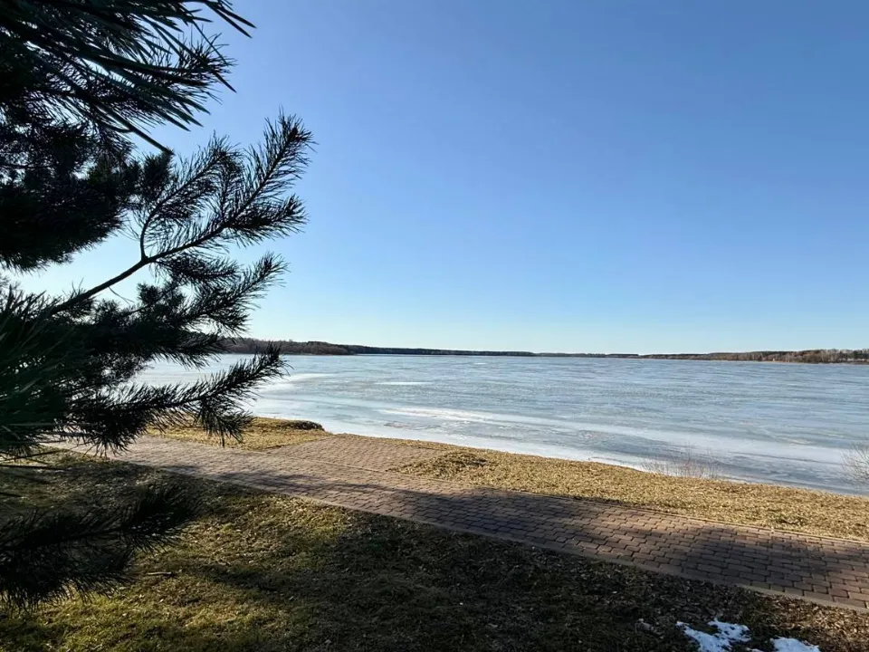 Фото: t.me/dvmordvintsev